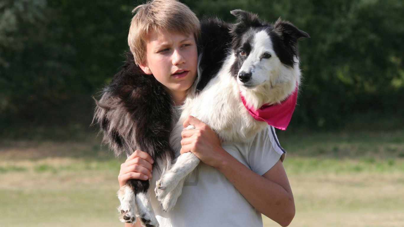 young boy outdoors carrying a black and white dog over his shoulders.